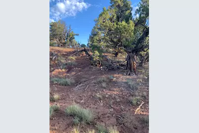 [Address not provided], Fruitland, UT 84027 - Photo 19