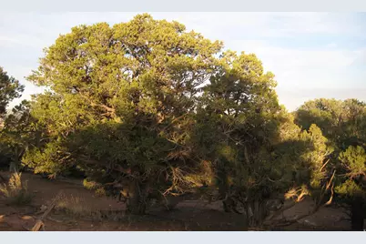 [Address not provided], Fruitland, UT 84027 - Photo 17