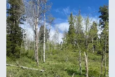 1798 W Alexander Rd #G-65, Coalville, UT 84017 - Photo 3