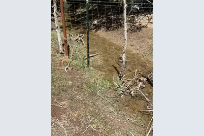 [Address not provided], Spring City, UT 84662 - Photo 3