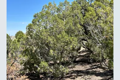 [Address not provided], Duchesne, UT 84021 - Photo 13