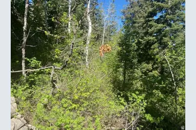 135 J Quaking Aspen Dr #J-135, Fairview, UT 84629 - Photo 7