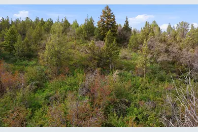 1937 Ut-150 Lot 154 #154, Kamas, UT 84036 - Photo 5