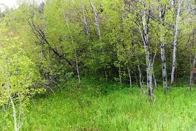 1937 Ut-150 Lot 154 #154, Kamas, UT 84036 - Photo 1
