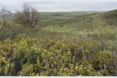 999 Hwy 39, Huntsville, UT 84317 - Photo 13