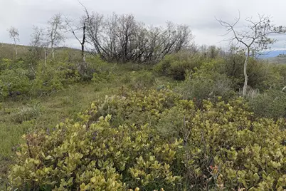 999 Hwy 39, Huntsville, UT 84317 - Photo 25