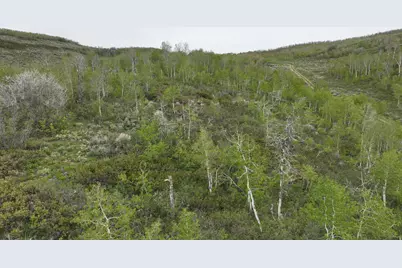 999 Hwy 39, Huntsville, UT 84317 - Photo 19