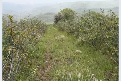 999 Hwy 39, Huntsville, UT 84317 - Photo 33