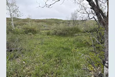 999 Hwy 39, Huntsville, UT 84317 - Photo 27