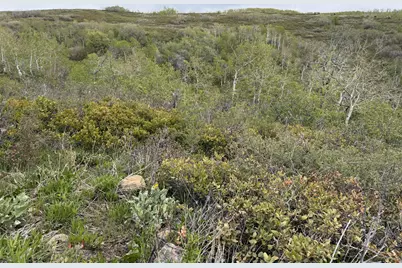 999 Hwy 39, Huntsville, UT 84317 - Photo 15