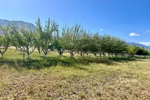 812 E Bates Rd, Erda, UT 84074 - Photo 113