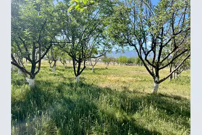 812 E Bates Rd, Erda, UT 84074 - Photo 115