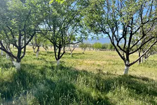 812 E Bates Rd, Erda, UT 84074 - Photo 115