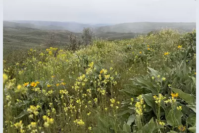 1 Hwy 39, Huntsville, UT 84317 - Photo 53