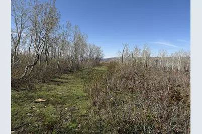 1 Hwy 39, Huntsville, UT 84317 - Photo 33