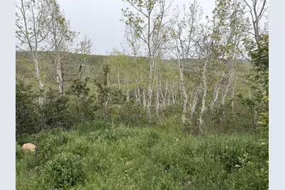 1 Hwy 39, Huntsville, UT 84317 - Photo 65