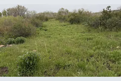 1 Hwy 39, Huntsville, UT 84317 - Photo 63