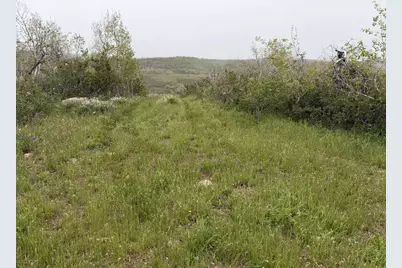 1 Hwy 39, Huntsville, UT 84317 - Photo 67