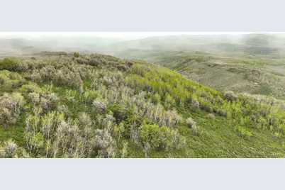 1 Hwy 39, Huntsville, UT 84317 - Photo 71