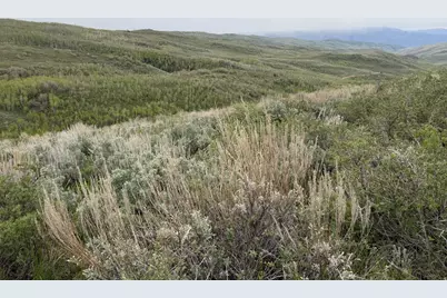 1 Hwy 39, Huntsville, UT 84317 - Photo 61