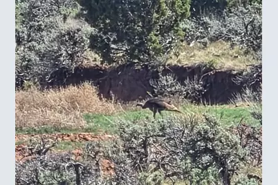 [Address not provided], Fruitland, UT 84027 - Photo 9