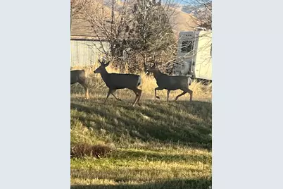 346 N 800 E, Springville, UT 84663 - Photo 35