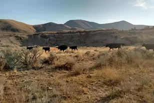 12740 W Kimberly Circle, Thatcher, UT 84337 - Photo 35