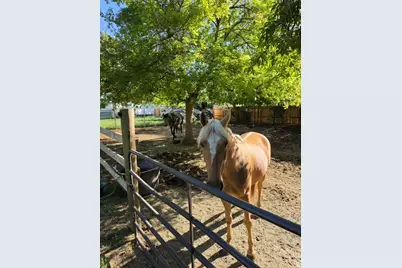 4995 S 3100 W, Roy, UT 84067 - Photo 9