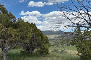 14908 N Deep Crk Rd, Lapoint, UT 84039 - Photo 9