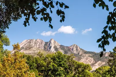 2250 E Murray Holladay Rd #202, Holladay, UT 84117 - Photo 47