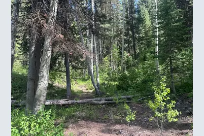 9328 E Wild Clematis Ln, Brighton, UT 84121 - Photo 1