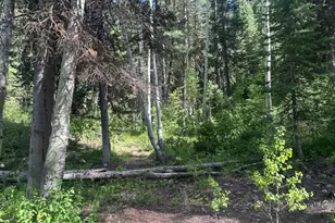 9328 E Wild Clematis Ln, Brighton, UT 84121 - Photo 1