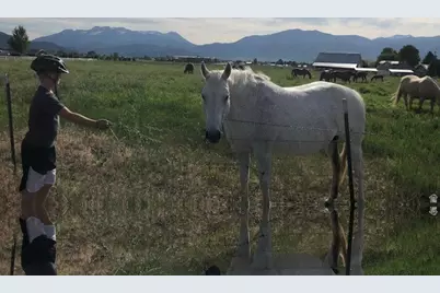 700 S 1950 E #2, Heber City, UT 84032 - Photo 73