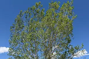 10000 N 6730 E, Spring City, UT 84662 - Photo 29