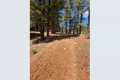 2375 Douglas Trl, Duck Creek Village, UT 84762 - Photo 13