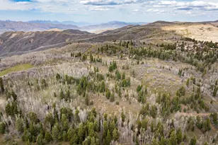 11976 Church Rd, Park City, UT 84098 - Photo 41