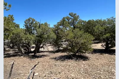 [Address not provided], Fruitland, UT 84027 - Photo 5