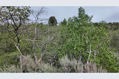 4060 Wildlife Way #443, Kamas, UT 84036 - Photo 3