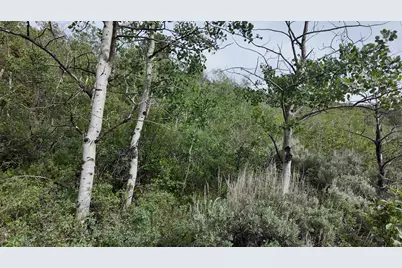 4060 Wildlife Way #443, Kamas, UT 84036 - Photo 1