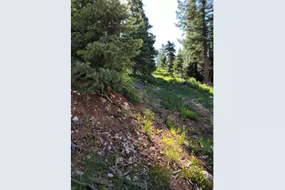 6220 W Brook Ln, Duck Creek Village, UT 84762 - Photo 17