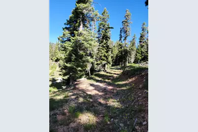 6220 W Brook Ln, Duck Creek Village, UT 84762 - Photo 9