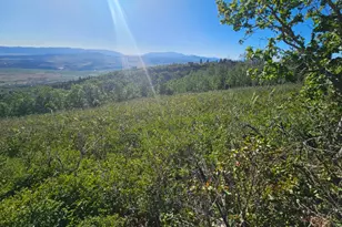 23165 N Hillside Dr, Fairview, UT 84629 - Photo 9