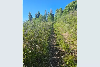 23165 N Hillside Dr #G23, Fairview, UT 84629 - Photo 11