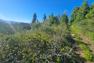 23165 N Hillside Dr, Fairview, UT 84629 - Photo 7