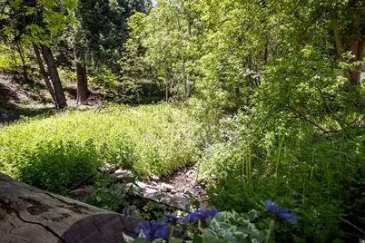 6424 E Lefthand Fork Ln, Salt Lake City, UT 84108 - Photo 49