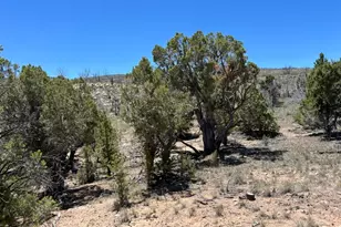 [Address not provided], Fruitland, UT 84027 - Photo 1