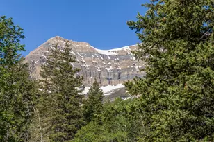 8841 N Alpine Loop Rd, Sundance, UT 84604 - Photo 19
