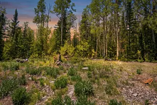 615 E Old Rd, Brian Head, UT 84719 - Photo 1