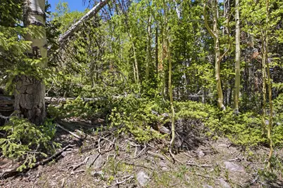 615 E Old Rd, Brian Head, UT 84719 - Photo 15