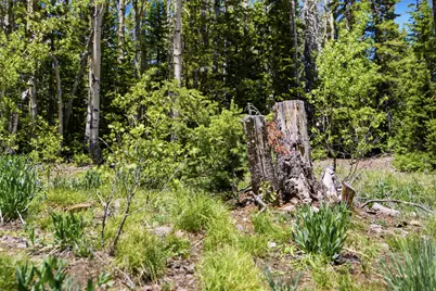 615 E Old Rd, Brian Head, UT 84719 - Photo 9
